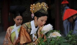 何雍正直播爆料视频播放,视频播放背后的惊人真相